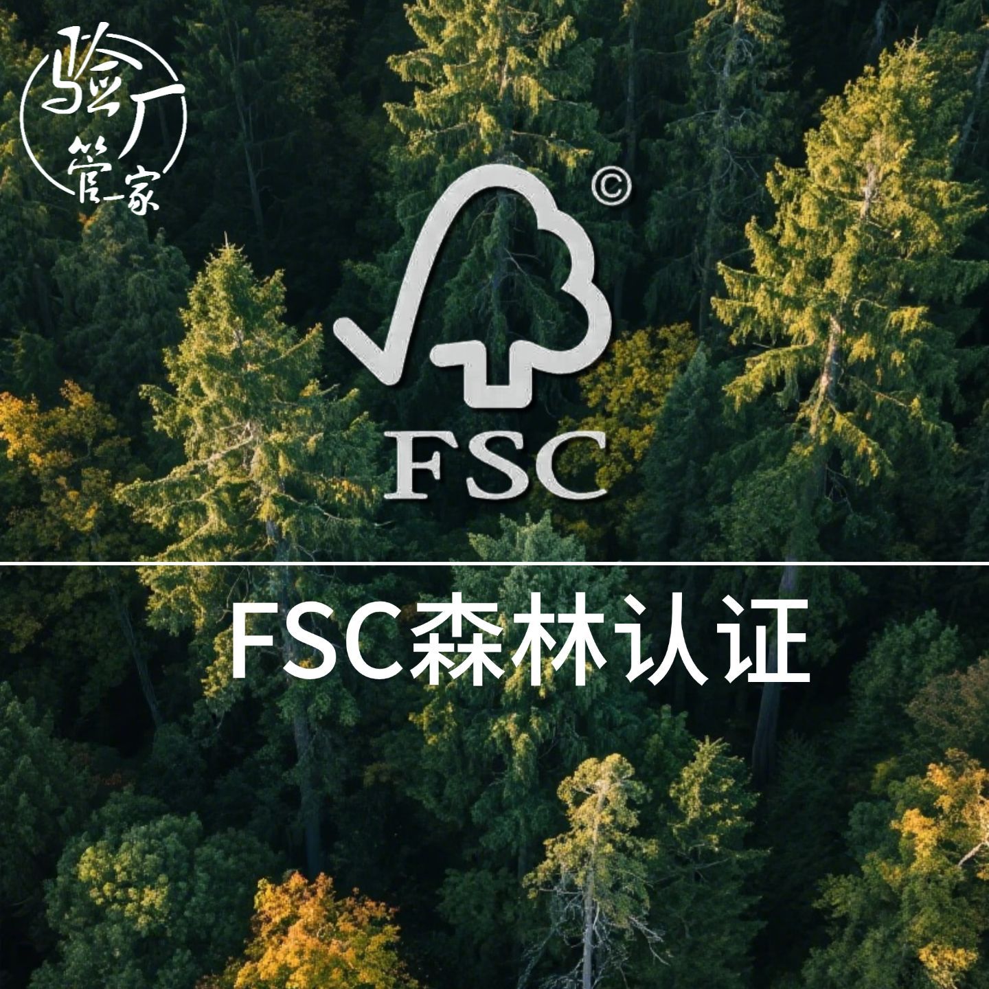 Консультация и предложение по сертификации лесов Fsc, сертификация лесных продуктов внешней торговли, услуги инспекции фабрик Fsc в Гуандуне