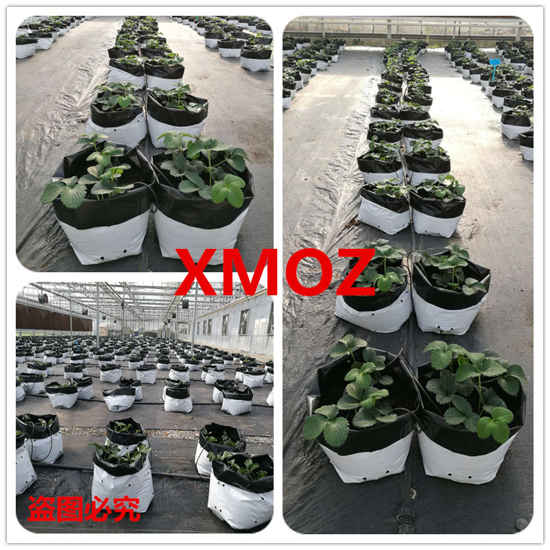 White Outside and Black Inside Planting Bag, Agricultural Greenhouse Soilless Cultivation Technology Seedling Bag Growth Bag, Fruit and Vegetable Substrate Bag