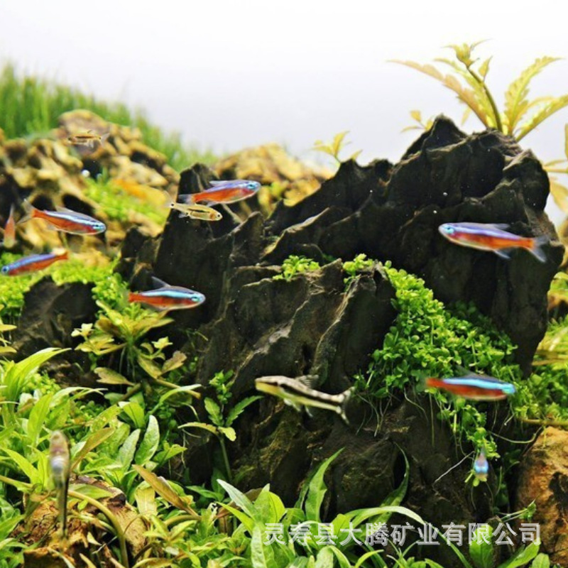 Wholesale Pine Skin Stone Aquarium Landscaping Natural Ornaments Micro Landscape Rockery Thousand-Layer Tiger Skin Dragon Bone Stone Porous Pine Skin Stone