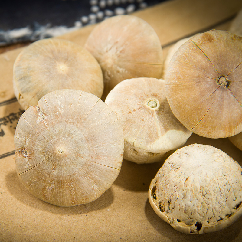 Authentic Chinese Herbal Medicine New Arrival from Guangxi 500g Wild Turtle Head Tianzhu Granules Herbal Medicine for Soaking in Wine