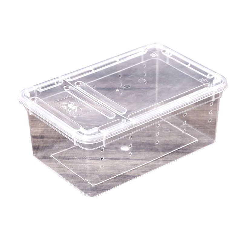 Silkworm baby student silkworm full set of special tools incubation box thermometer goose feather silkworm egg feeding box silkworm net wholesale