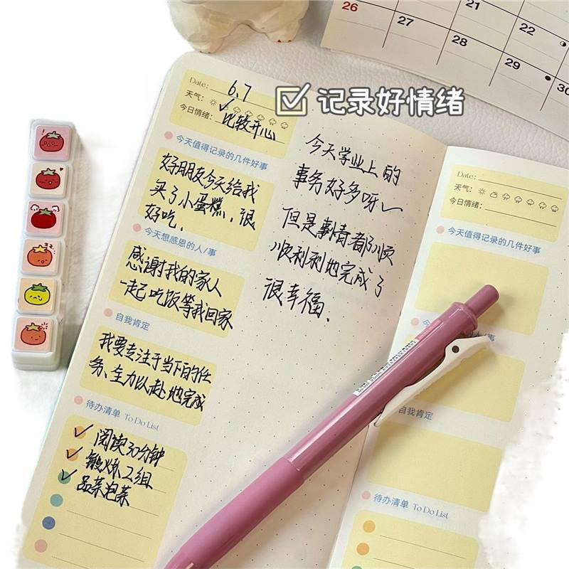 Ins Mood Book Life Record Student Notepad High-Looking Hand Ledger Schedule Check-In Notebook