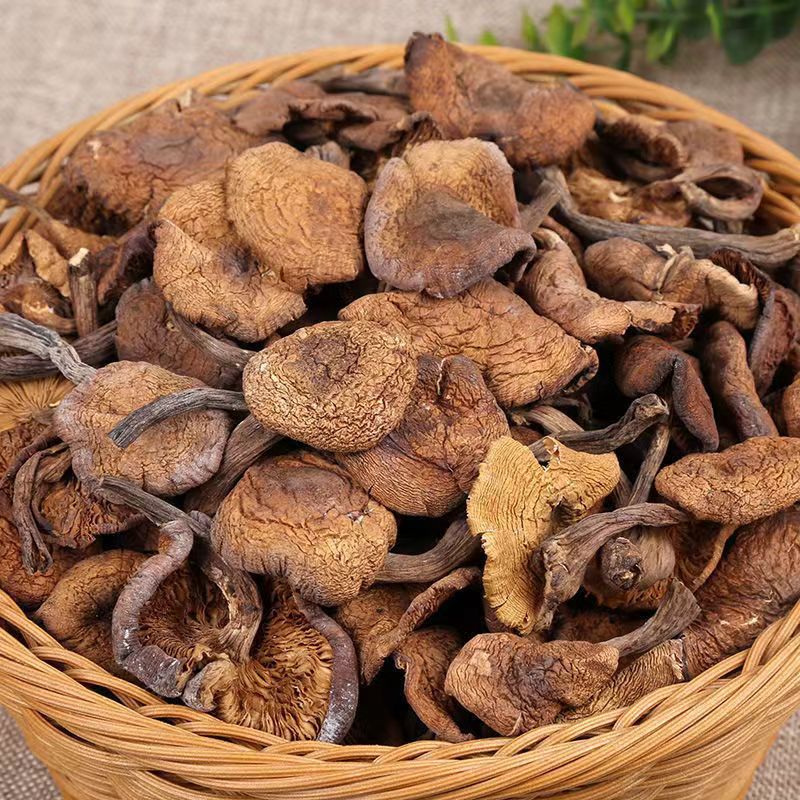 2024 Northeast specialty wild hazel mushroom diced dried chicken stewed mushroom Changbai mountain mushroom super rootless new product
