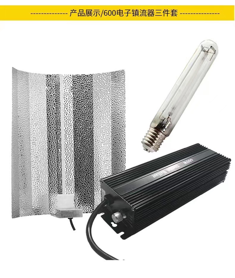 Agricultural green plant greenhouse fill light high light efficiency sodium lamp plant growth lamp HPS-600W electronic ballast three-piece set