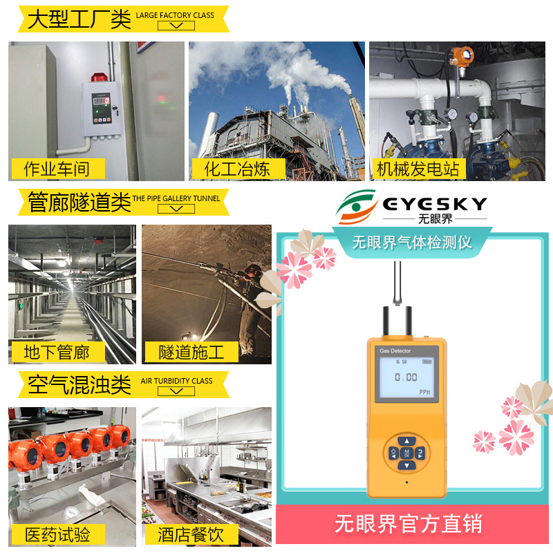 Pump Suction Sulfur Dioxide Gas Detector Portable Sulfur Dioxide Detector Es20C-So2 Concentration