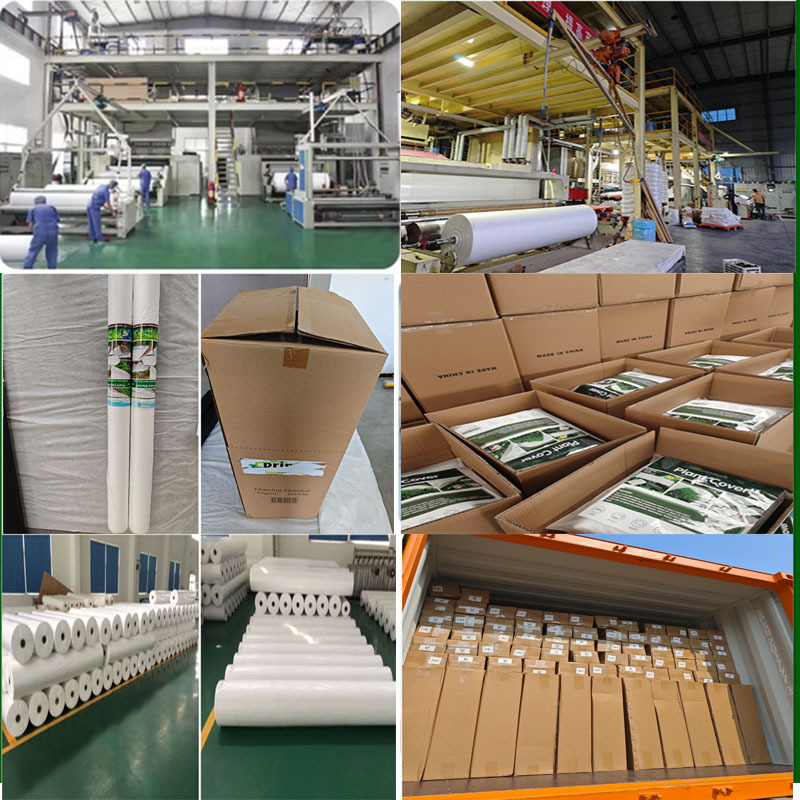 Cross-Border Agricultural Weed-Proof Cloth Orchard Planting Permeable Ground Cloth Thickened Anti-Aging Greenhouse Sliced ​​Perforated Non-Woven Fabric