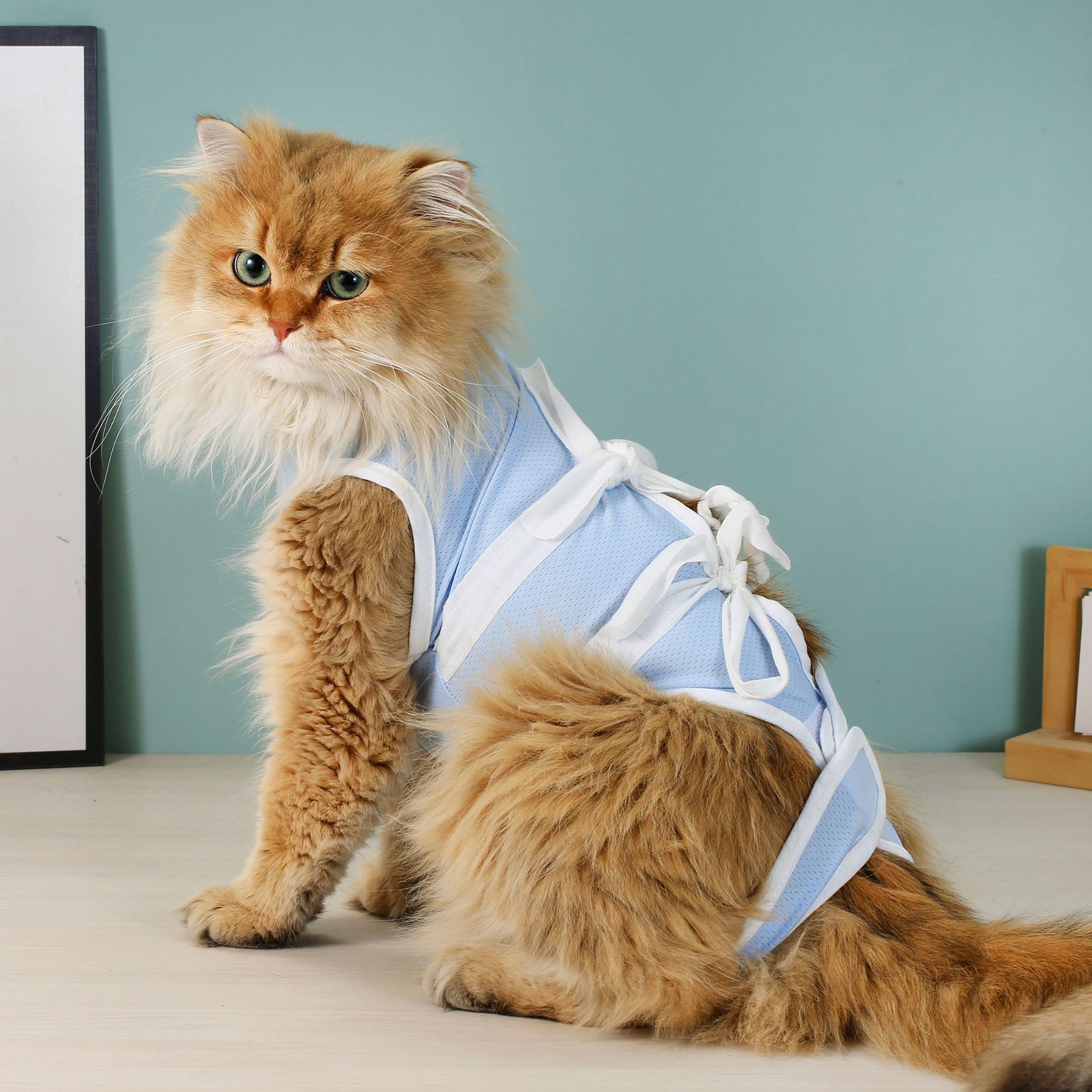 Blue Cat Sterilization Clothing, Cat Surgical Clothing, Pet Clothing, Female Cat Weaning, Anti-Licking and Anti-Hair Loss Pet Postoperative Supplies