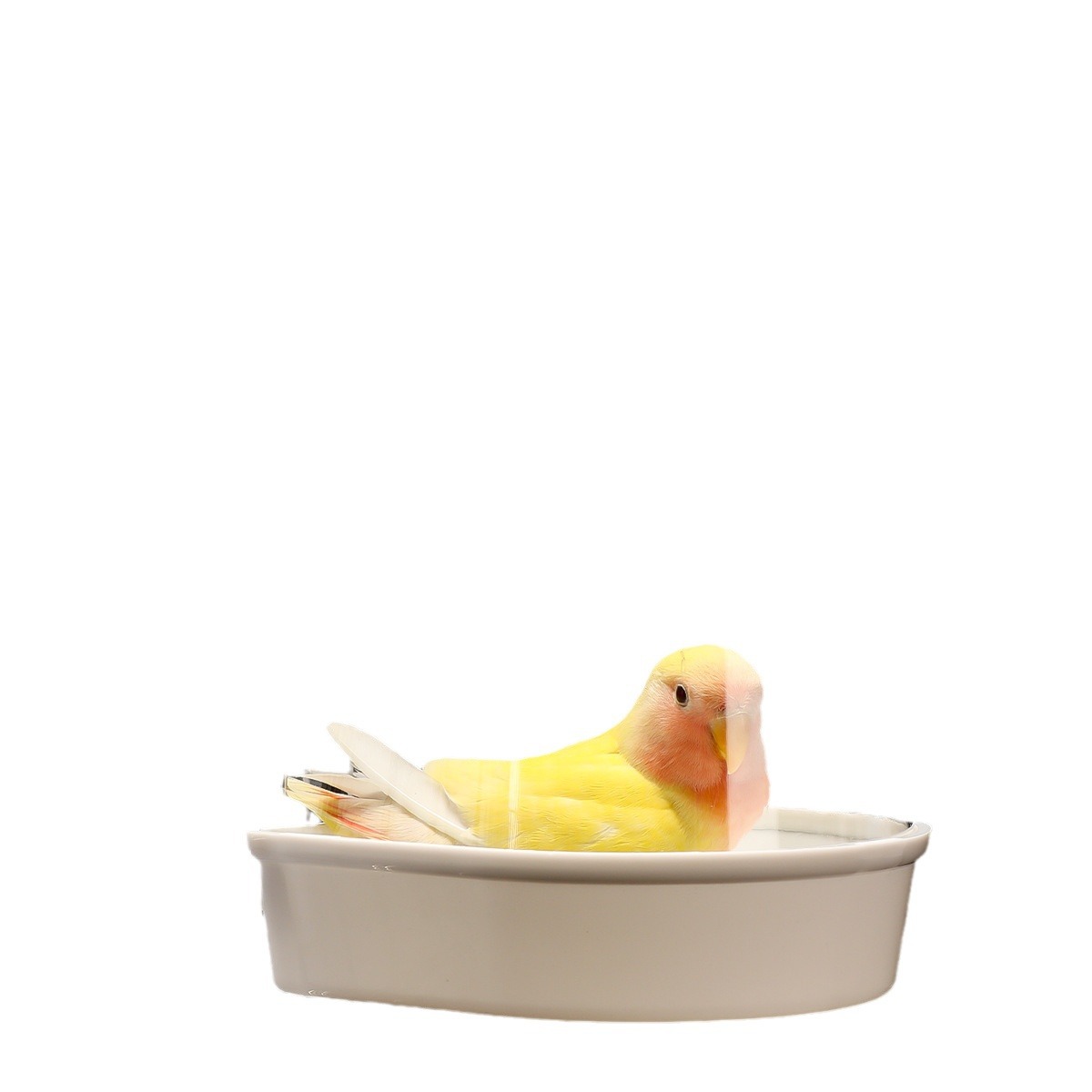 Budskin Parrot Bathbox Bathtub Birds Bathers Starling Xuan Feng Peony Bird Supplies Toys Bathing Utensils