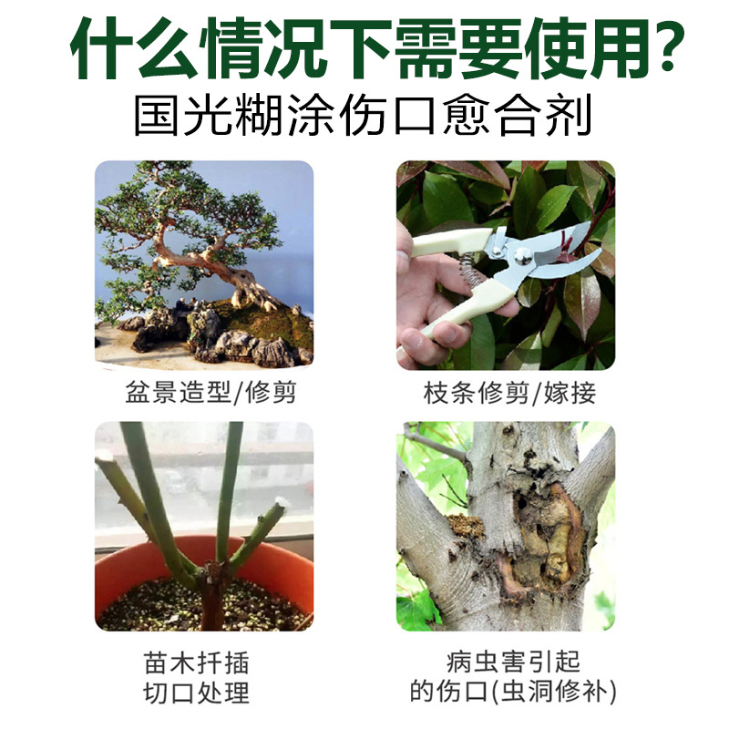 Guoguang Hazy Healing Agent for Wounds, Fruit Tree Plant Data, Grafting Bonsai Application, Sealing Callus Cream, Incision Repair