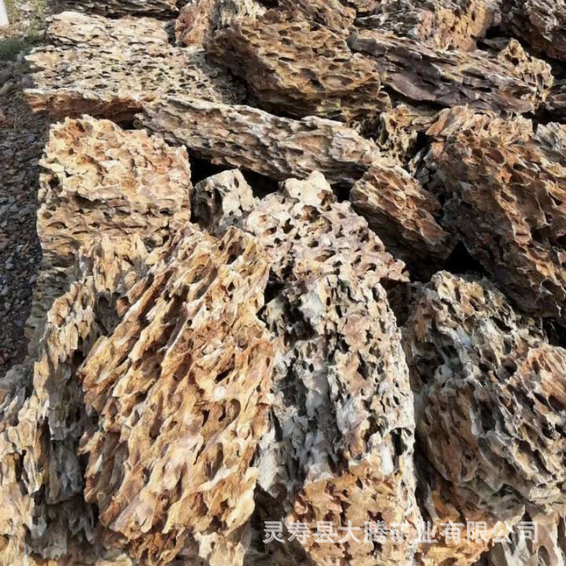 Wholesale Pine Skin Stone Aquarium Landscaping Natural Ornaments Micro Landscape Rockery Thousand-Layer Tiger Skin Dragon Bone Stone Porous Pine Skin Stone