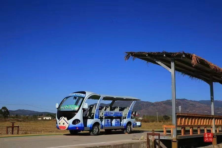 Конвертируемый экскурсионный автомобиль на 14 мест без дверей, электрический автомобиль для туризма