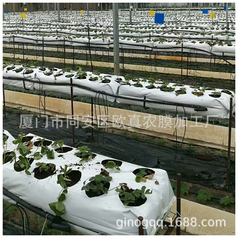 Matrix Bag Strawberry Tomato Fruit and Vegetable Cultivation Planting Strips Coconut Bran Peat Soil Matrix Planting Bag