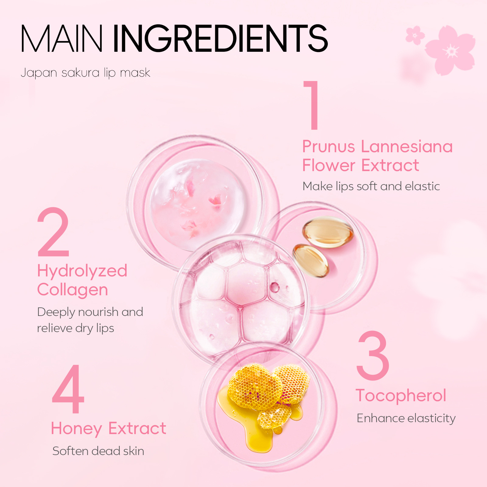 Laikou Sakura Lip Mask 6g Moisturizing and Elastic Lip Care English Packaging Cross-Border Lip Patch Foreign Trade