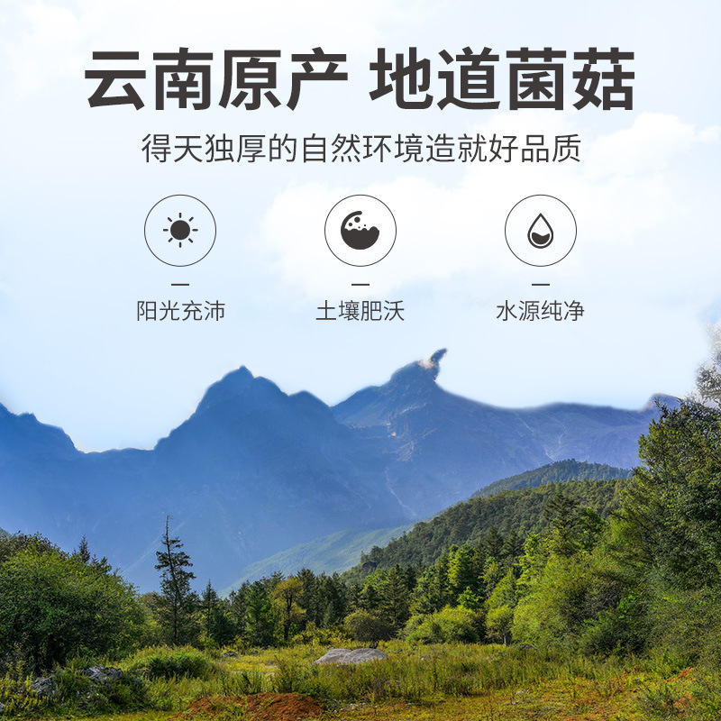 Fangjiapu Fujian delivery 50g canned Morchella Mushroom dried goods soup hot pot ingredients