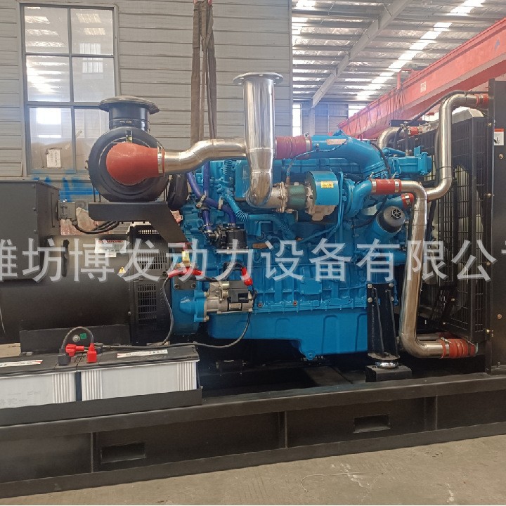 Gas Generator Set Biogas Natural Gas Straw Gas 100 200 250 300Kw Methanol Generator Set
