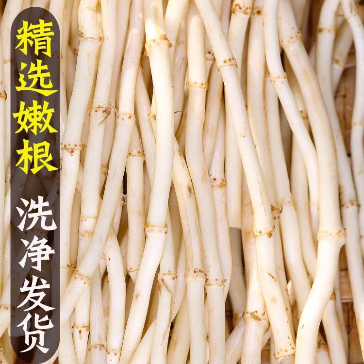 [Recommended by Veterans] Specialty Freshly Digged Hairy Ear Root and Houttuynia Cordata Tender Root Cold Mixed with Hubei Guizhou Rice