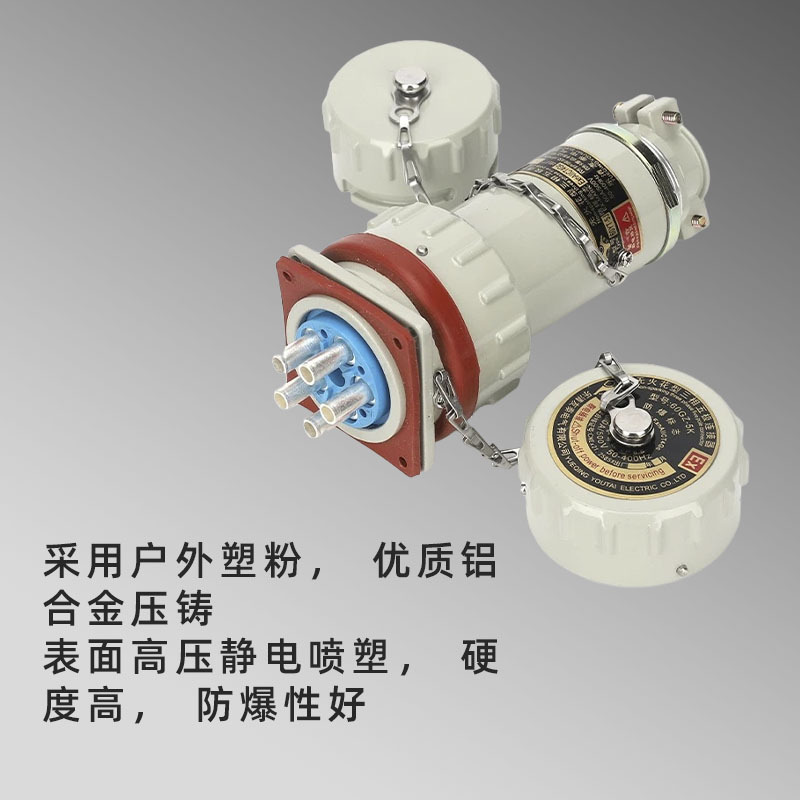 Explosion-Proof Non-Sparking Socket Plug 220V Aviation Plug Industrial Connector 380V Three-Phase Four-Pole Fixed Mobile
