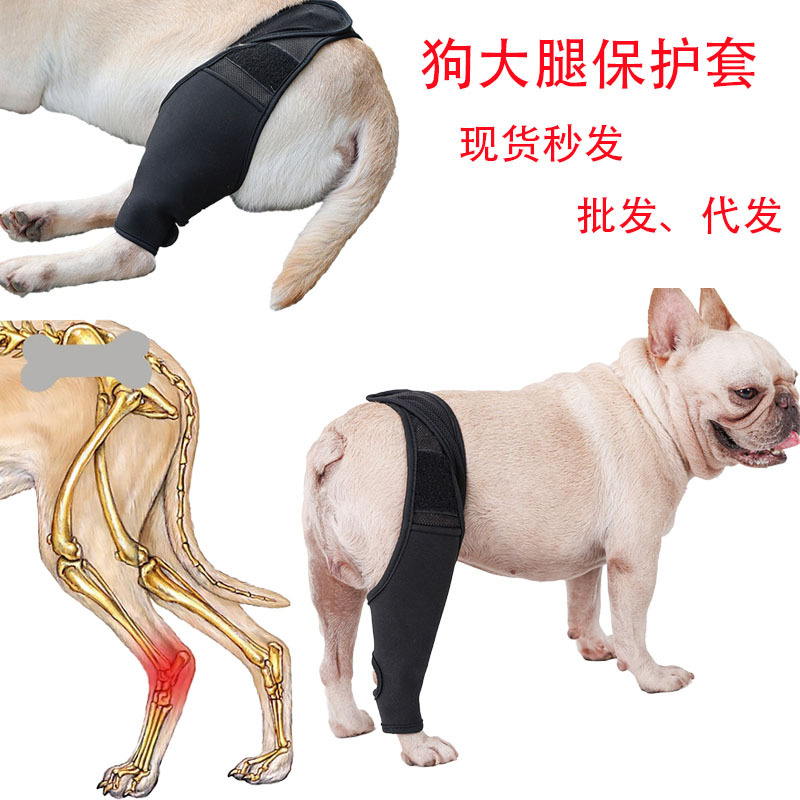 Популярная поддержка для травм ног собак, защитный чехол для передних и задних ног, регулируемая поддержка, защитный чехол для бедра после операции, наколенник