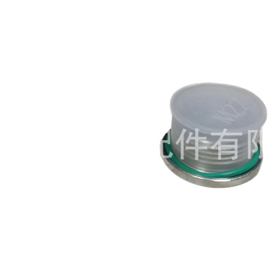 Magnetic Differential Oil Drain Plug with O-Ring No. Oe 33117525064 Suitable for Bmw