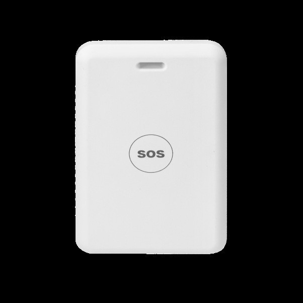 Позиционирование рабочего бренда Lora Wan, аппаратная платформа проектирования, интеграция с Zigbee, Bluetooth, разработка решения для Интернета вещей