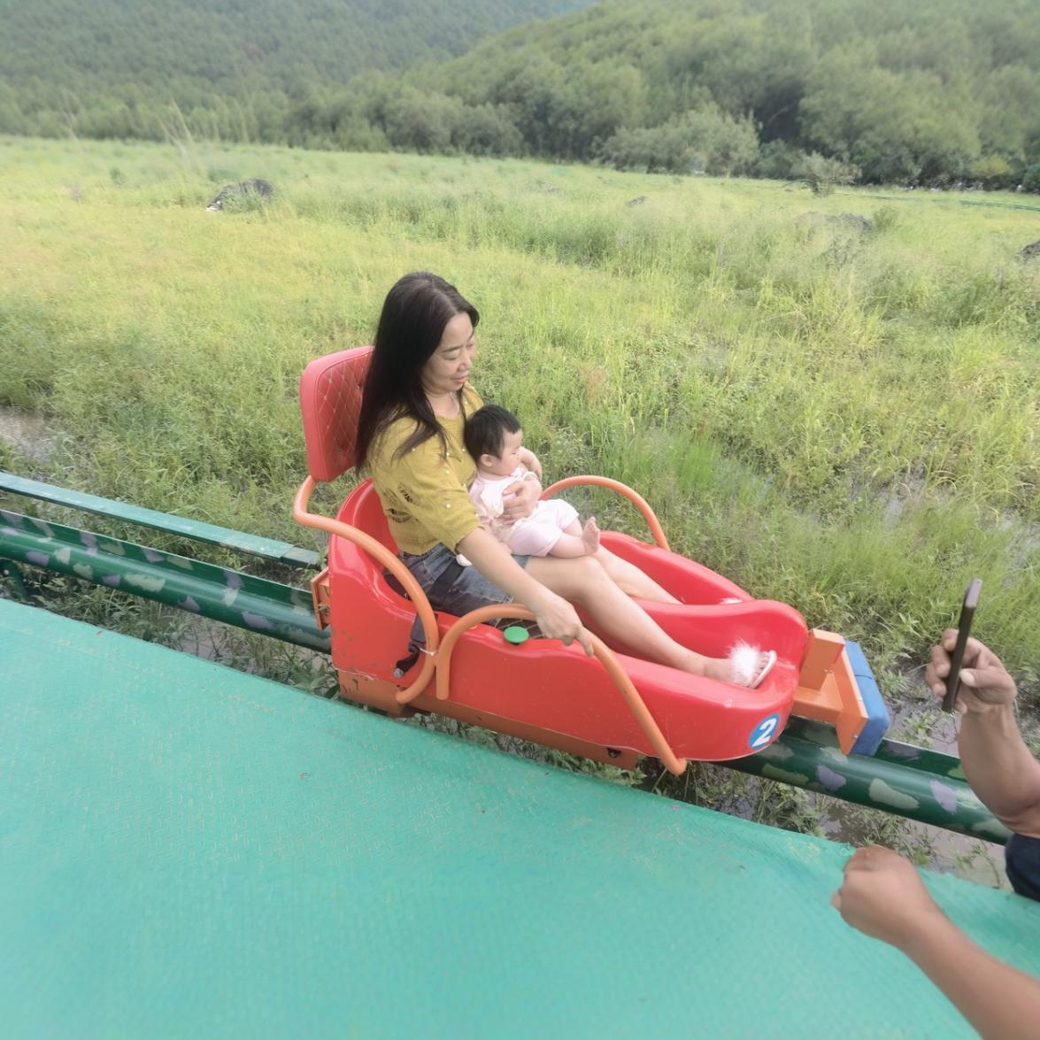 Unpowered Pulley, Monorail Pulley, Track Pulley, Small Roller Coaster