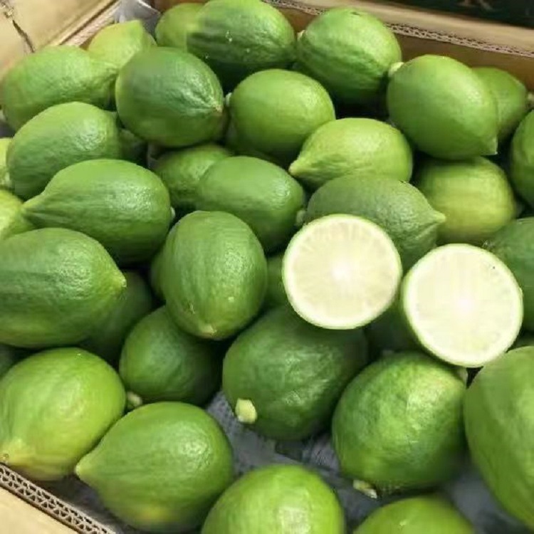 Guangdong Perfume Lemon Seedless Green Lemon Tropical Fresh Fruit First-Class Hainan Lemon Wholesale Milk Tea Shop Exclusive