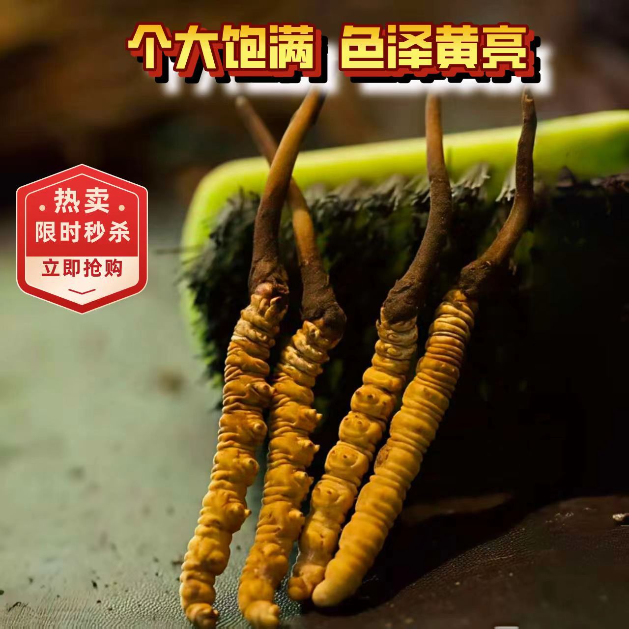 Аутентичный кордицепс синенсис, 2 штуки на грамм, премиум сушеный кордицепс из Накю, прямая поставка от производителя, оптовая и розничная продажа по всей стране