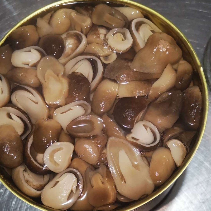 Gutian Dried Straw Mushroom Halves, Straw Mushroom Slices, Exported Straw Mushrooms, Clear Water Straw Mushroom Slices, Canned Straw Mushrooms