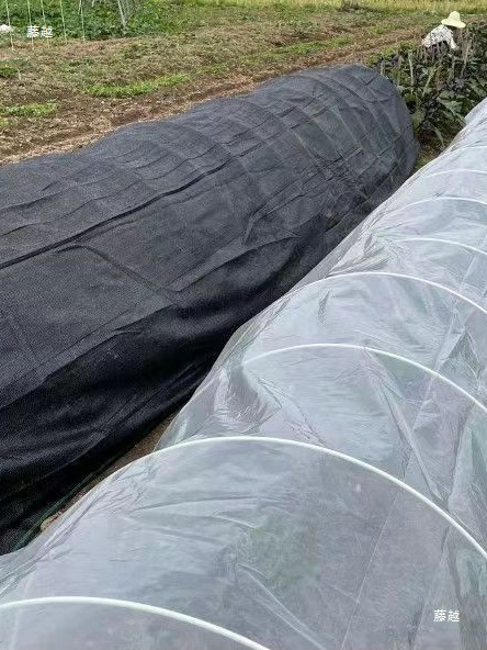 30 Pieces Free Shipping for Seedling Vegetables New Agricultural Small Arch Shed Bracket Greenhouse Frame Manufacturer Wholesale Fiberglass