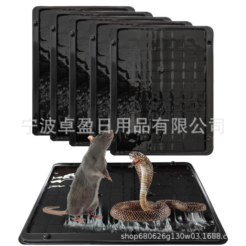 Large and Thick Adhesive Mouse Traps Made of Ps Material, Strong Adhesive Plastic Mouse Traps, Foreign Trade Source Manufacturer