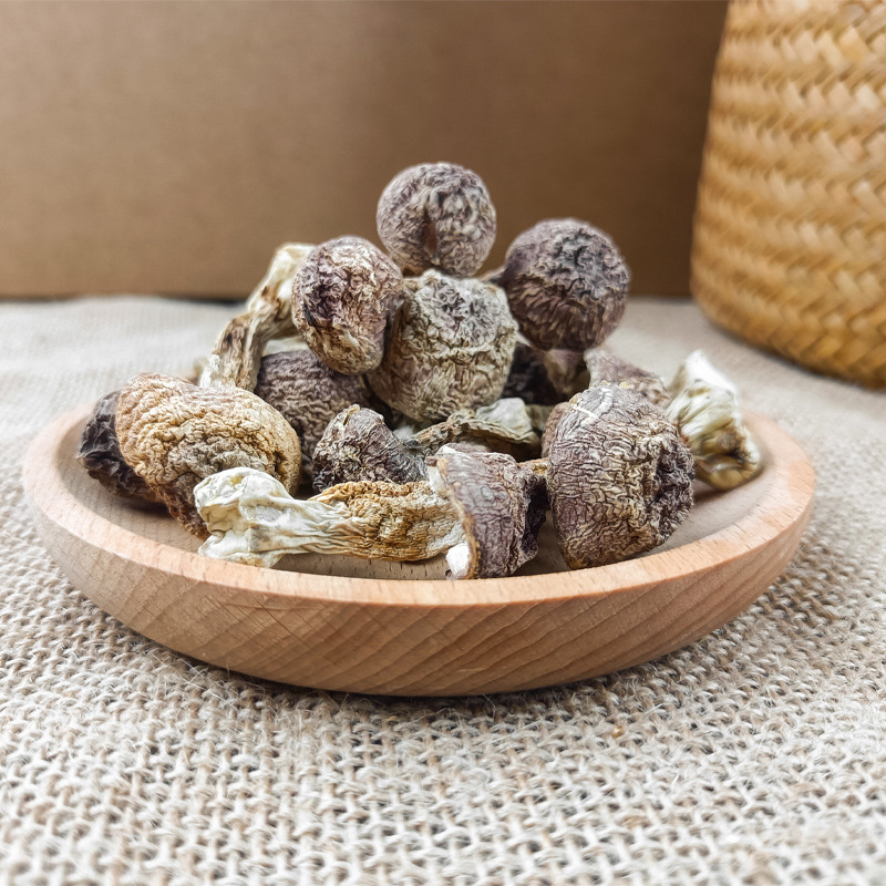 Агарикус блазеи 100г, произведено в Гутяне, Бразилия, съедобный гриб, сушеный на солнце, происхождение Гутянь