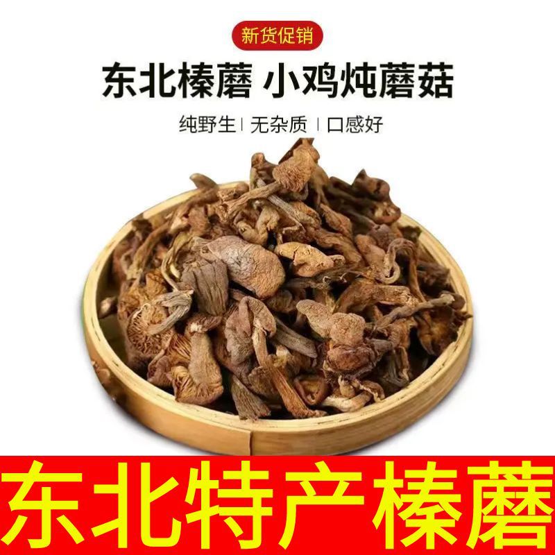 Hazel Mushroom Northeast Specialty Wholesale Dry Hazel Mushroom Chicken Stewed Mushroom Ingredients Gift Agricultural Products Hazel Mushroom Ding Native Specialty