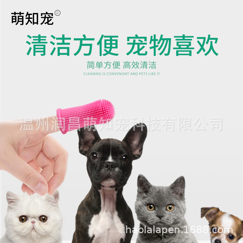 Amazon explosions silicone pet toothbrush factory in stock wholesale dog cat finger brush set
