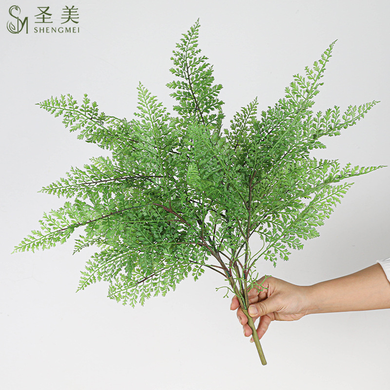 Simulation of fern grass large beam fern kidney fern leaf asparagus simulation of green plants adiantum plants decorative landscaping