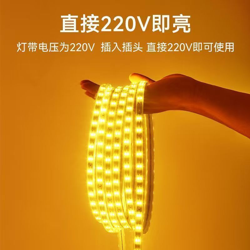 Led Light Strip 2835 High Voltage Double Row 220V High Brightness 120 Lights Outdoor Waterproof Indoor Engineering Lighting Flexible Light Strip