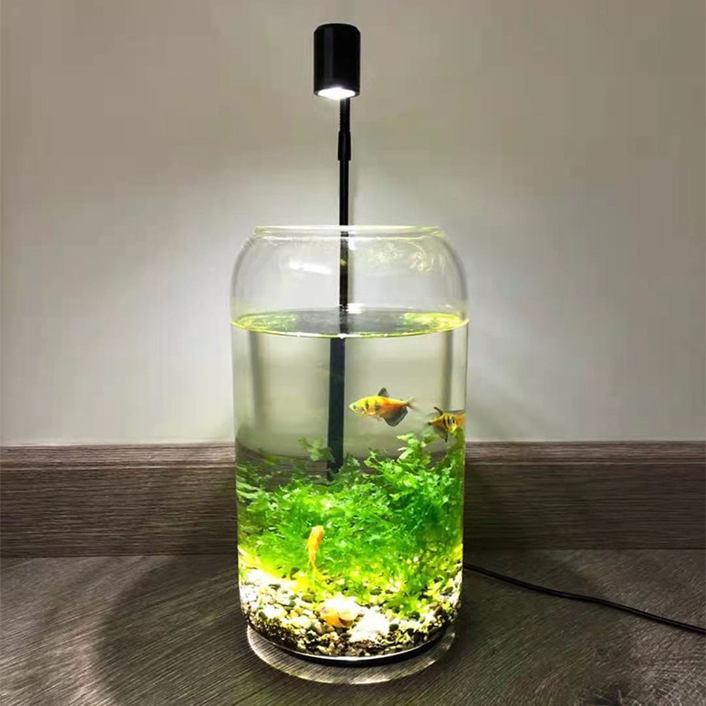 Round acrylic led micro landscape lamp Moss lamp plant lamp water plant lamp amphibious cylinder succulent fish tank lamp
