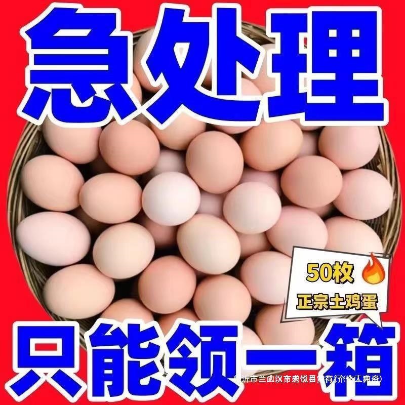 Целая коробка яиц красного сердца, свежие яйца из общежития, большие яйца от свободного выгула, фермерские яйца для хранения круглый год