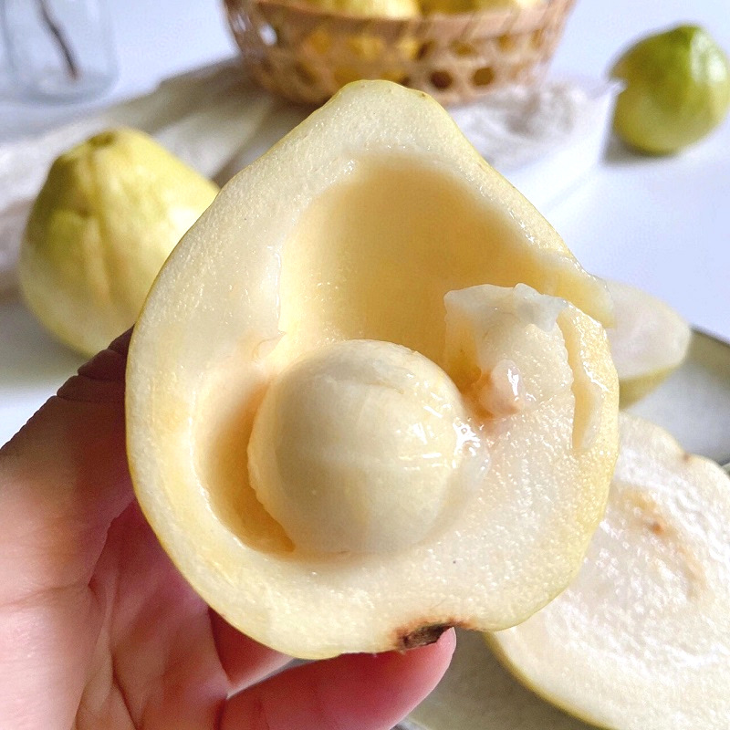 Directly Shipped from Fujian, Creamy Guava with Soft Centers, Freshly Picked, Soft and Sweet White-Fleshed Guava, Fresh Wholesale