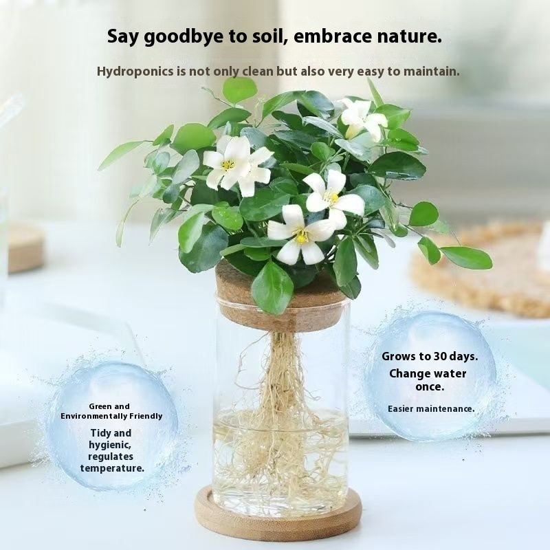 High Borosilicate Glass Micro-Landscape Vase Living Room Hydroponic Plant Ornaments Vase Flowers Home Vase