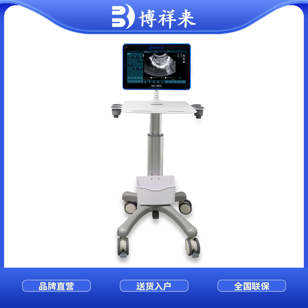 High-Definition Live Ovary Collection B-Ultrasound Machine for Cattle, Ovary Collection Instrument for Cattle and Horses, Opu Follicle Suction Equipment, B-Ultrasound Machine for Cattle