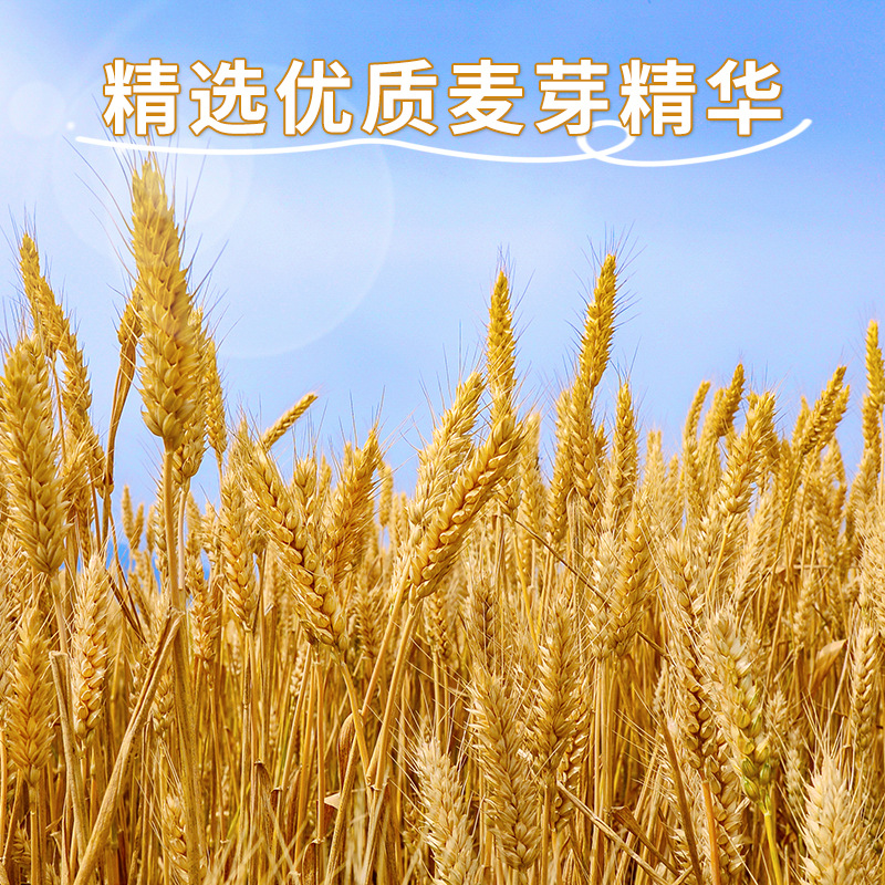 Malt Milk Old Brand Shanghai 80S 800g Canned Traditional Lekoufu Breakfast Student Nostalgic Cocoa Powder