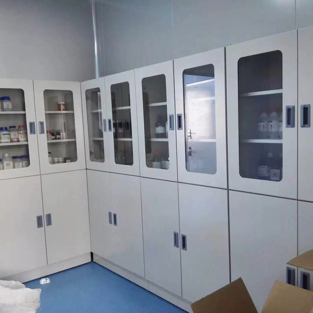 Laboratory Reagent Medicine Cabinet Glassware Cabinet Laboratory Instrument Sample Storage Cabinet All Steel Medicine Cabinet Customization