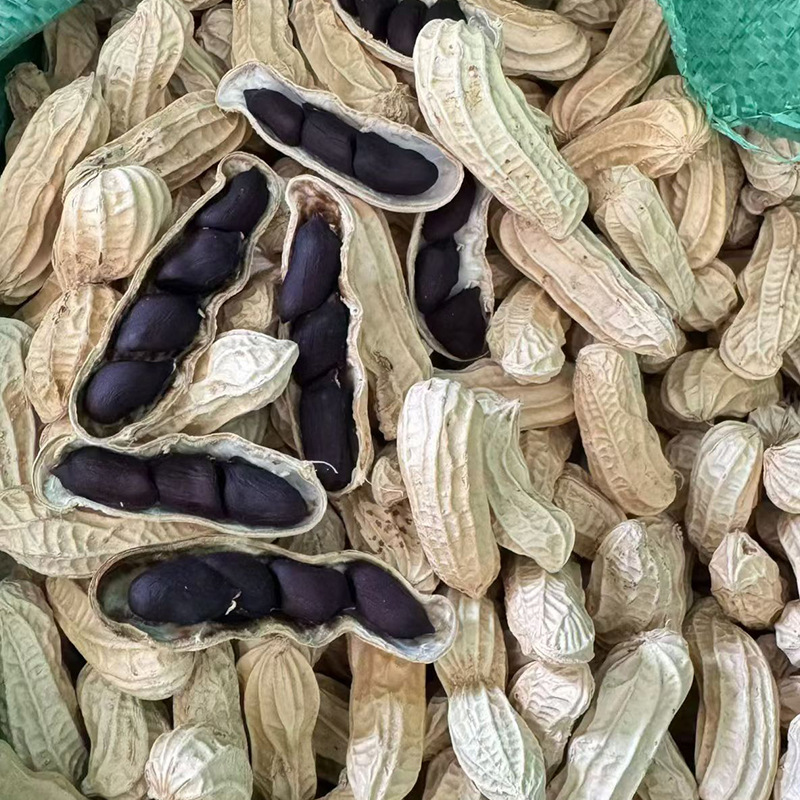 Yunnan Academy of Agricultural Sciences Selenium-Rich Black Peanuts in Shell 2025 New Fresh Original Black Peanuts Wholesale from the Place of Origin