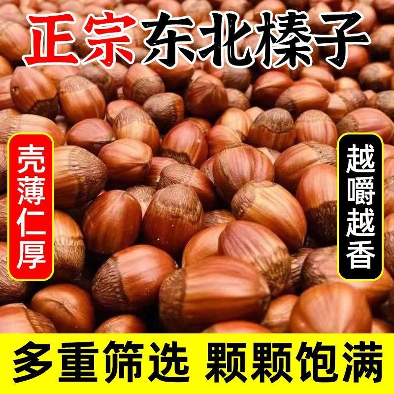 New Arrival Hazelnuts Northeast Large Hazelnuts Original Flavor Northeast Tieling Specialty Thin-Skinned Roasted Nuts Snacks Changbai Mountain Hazelnuts