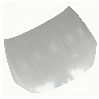 Suitable for Byd Qin Plus Hood Had-8402010/70