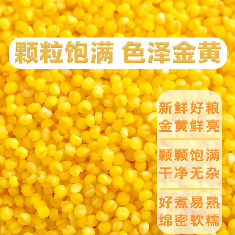 Five-Grain Millet Gift Box Packed with Yellow Millet 1000g, a Great Gift for Customers from Banks and Insurance Companies to Celebrate a Successful Start to the Year