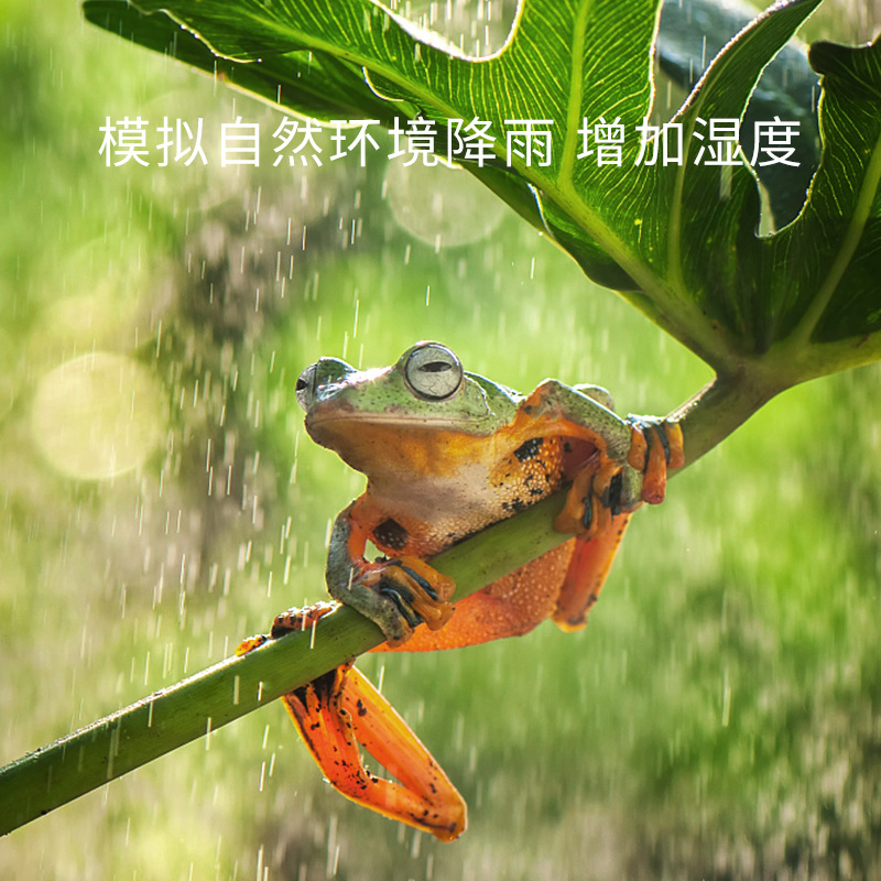 Reptizoo Reptile Pet Humidifier Pet Rainforest Automatic Spray Atomization Tree Frog Chameleon Lizard Smart
