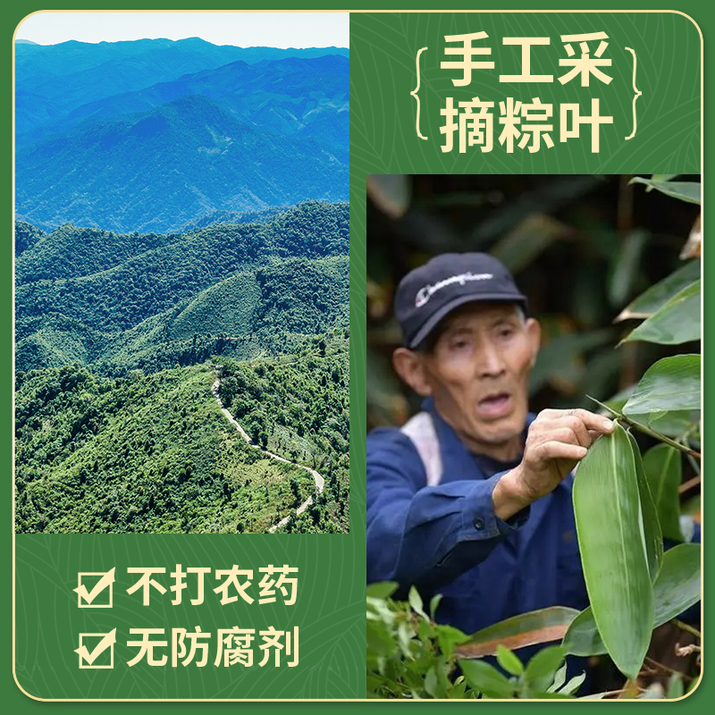 Fresh Rice Dumpling Leaves for Wholesale, Pure Natural Wild Rice Dumpling Leaves, Large Size, Vacuum-Packed, for Home Use during the Dragon Boat Festival