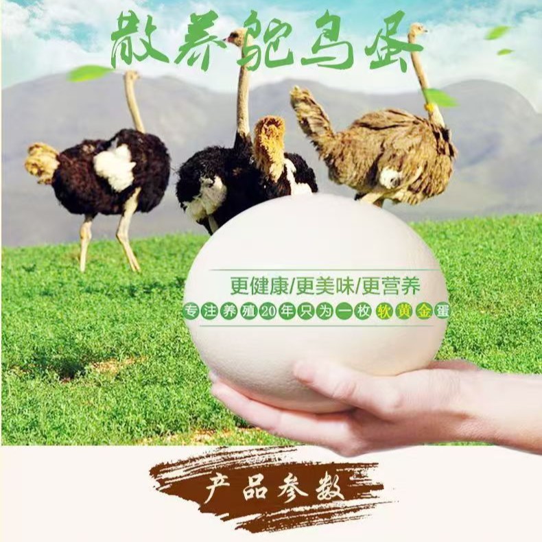 Свежие страусиные яйца, большие страусиные яйца, съедобная специальность, зелёное питание, подарки на праздник Цинмин и летнего солнцестояния, вкусно
