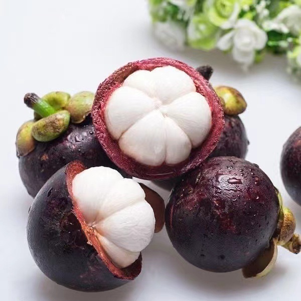 Fresh Thai Mangosteen Large Fruits Whole Box 5kg Seasonal Fruit Sf Free Shipping Seasonal Large Fruit Oil Mangosteen 5A